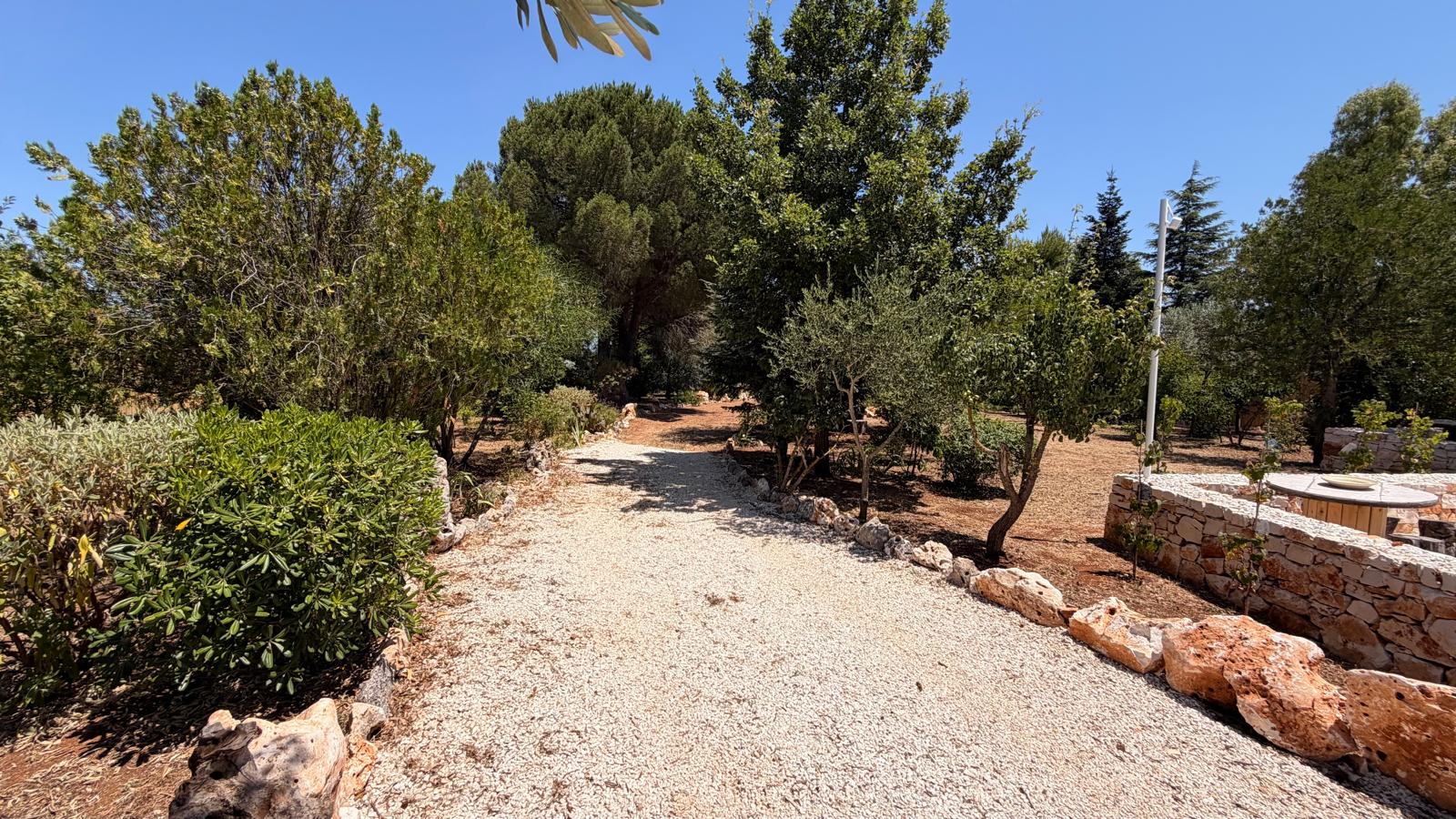 Trulli Comunicanti, Restaurati con Antico Camino, Ulivi Secolari.